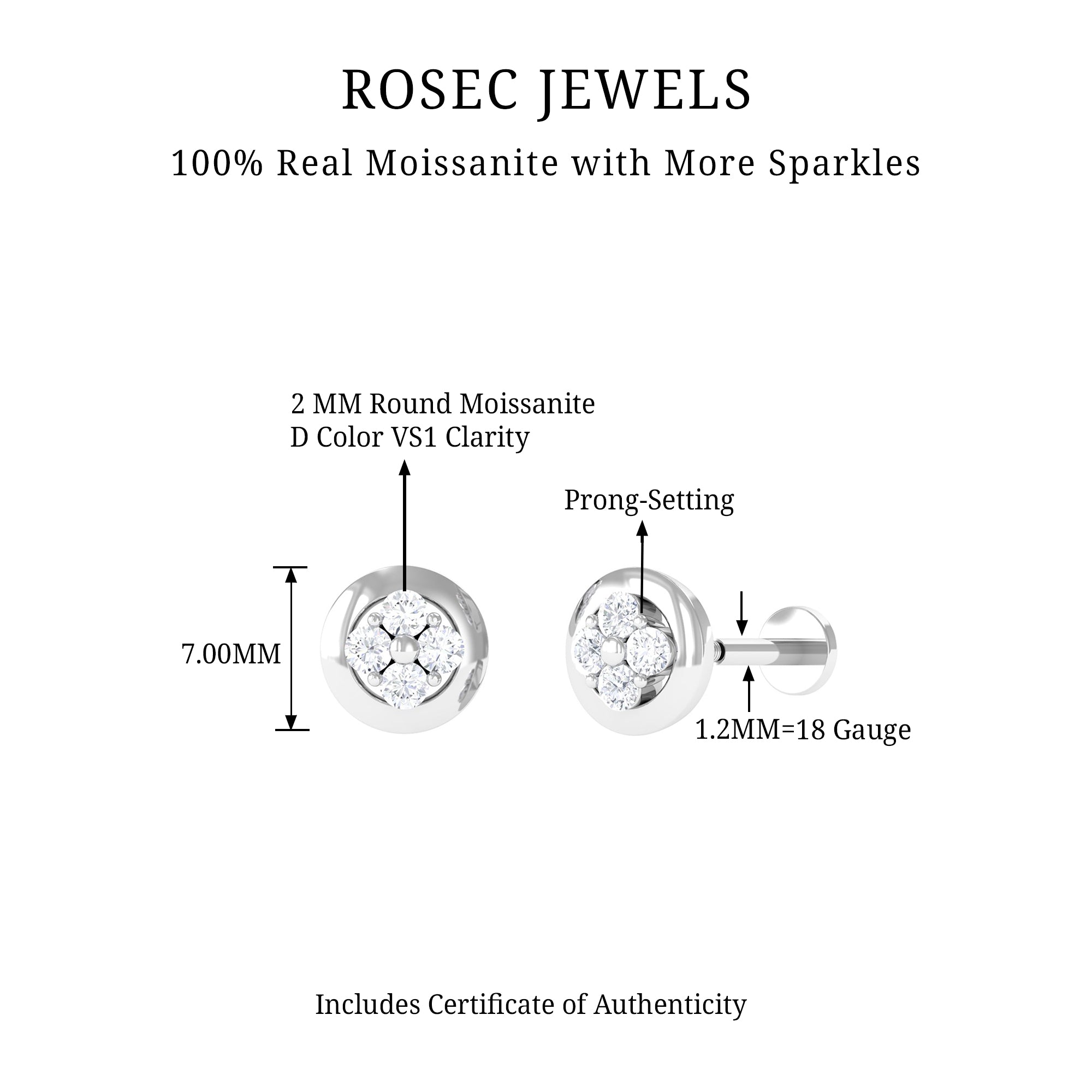 Rosec Jewels-Moissanite Circle Second Hole Earring in Gold