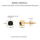 5 MM Round Lab Created Black Diamond Solitaire Cat Stud Earrings Lab Created Black Diamond - ( AAAA ) - Quality - Rosec Jewels